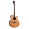 GUITARRA ACÚSTICA TANGLEWOOD SUPER FOLK CUTAWAY SERIE NEW ROSEWOOD SMART