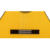 GUITARRA ADMIRA BULERÍA SERIE FLAMENCO FISHMAN