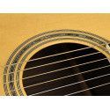 GUITARRA ACÚSTICA RICHWOOD ELECTRIFICADA AUDITORIUM ARTESANA