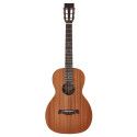 GUITARRA ACÚSTICA RICHWOOD PARLOUR ARTESANA