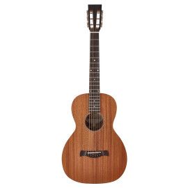 GUITARRA ACÚSTICA RICHWOOD PARLOUR ARTESANA