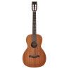 GUITARRA ACÚSTICA RICHWOOD PARLOUR ARTESANA