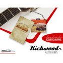 GUITARRA ACÚSTICA RICHWOOD PARLOUR ARTESANA