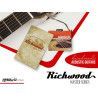 GUITARRA ACÚSTICA RICHWOOD PARLOUR ARTESANA