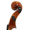 "Cello Tradizione Vibrato"