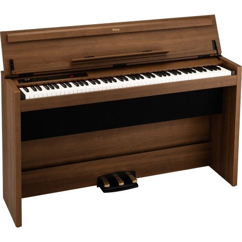 PIANO DIG POETRY MAGNIFIQUE