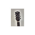 GUIT ACUST Pure-DCF NS w/bag