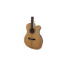 GUIT ACUST Pure-OCF NS w/bag