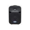 ALTAVOZ ACTIVO AURO D208