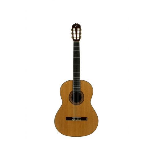GUIT CLASICA JTC-40