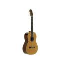 GUIT CLASICA JTC-40