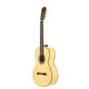 GUIT FLAMENCA JTF-30