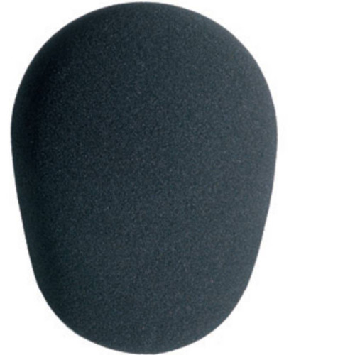 ANTIVIENTO 25X65MM (6 UNIDADES