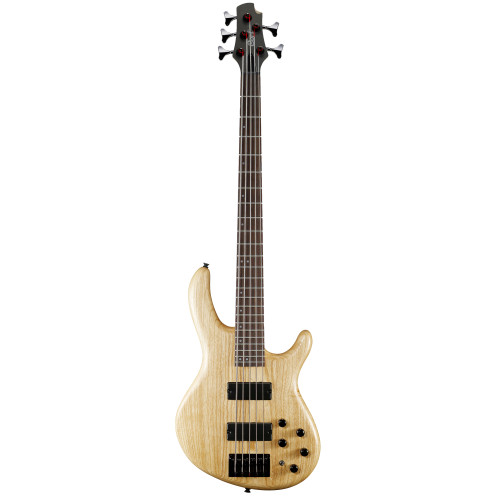 BAJO ELEC ACTION DLX V AS OPN