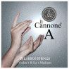 "Cuerda violín Larsen Il Cannone Direct & Focused  2ª La 4/4 Medium"
