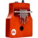 KA9P-AB PICKUP, AFRICAN BROWN