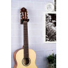 SOPORTE PARED OGH-1WN