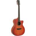GUITARRA ACUSTICA QGA-102 RDC