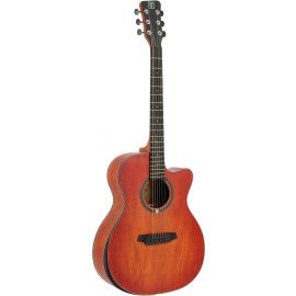 GUITARRA ACUSTICA QGA-102 RDC