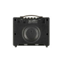 AMPLIF GUIT ACUST VX50 AG