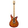 GUIT ELEC. SE SWAMP ASH SPECIA