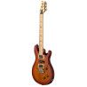 GUIT ELEC. SE SWAMP ASH SPECIA