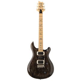 GUIT ELEC. SE SWAMP ASH SPECIA