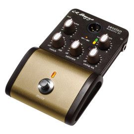 PEDAL SESSION DI ACOUSTIC GUIT
