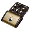 PEDAL SESSION DI ACOUSTIC GUIT