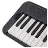 CT-S300 CASIOTONE