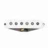 Retro Antq Strat Texas Hot Cus