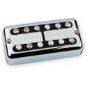 Psyclone Vintage Bridge Nickel