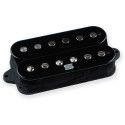 Duality bridge Black