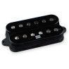Duality bridge Black
