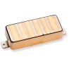 Antq II for Firebird Neck Gld