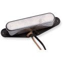 Antq for '55 Telecaster Neck