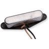 Antq for '55 Telecaster Neck