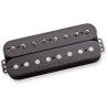 8Str Distortion Nk Pmt Blk