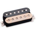 Jason Becker bridge Zebra