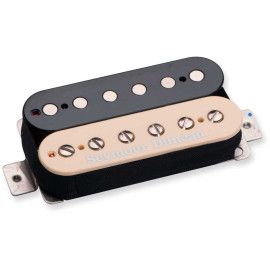 Jason Becker bridge Zebra