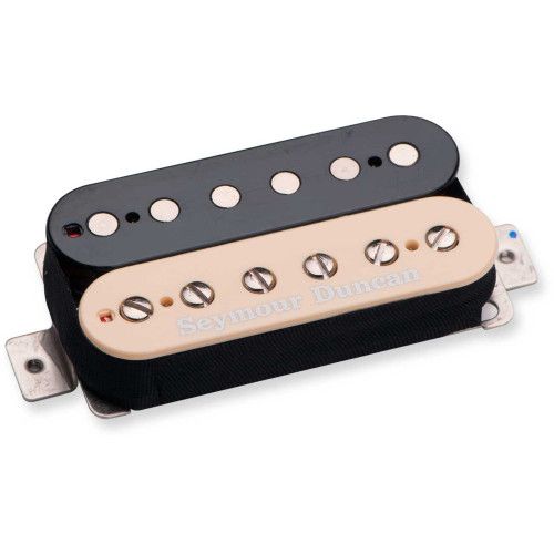 Jason Becker bridge Zebra