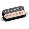 Jason Becker bridge Zebra