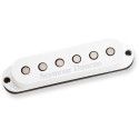 SSL-5L Custom Stag Strat Lft