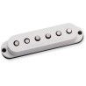 SSL-5L Custom Stag Strat RwRp