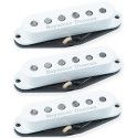 APS1 Alnc II Pro Stag Strat Cs