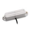 SVR-1n Vntg Rails for Strat Wh