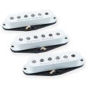 Set SSL-1 CA 50 Set / Californ