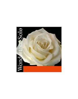 Cuerda violín Pirastro Wondertone Solo 310621 1ª Mi lazo 26 acero plateado Medium 4/4