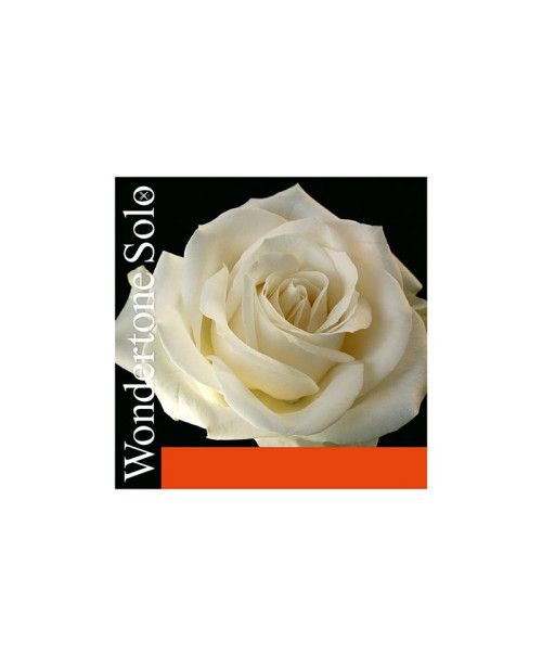 Cuerda violín Pirastro Wondertone Solo 310621 1ª Mi lazo 26 acero plateado Medium 4/4
