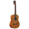 GUIT ACUST AC65 ARTIST